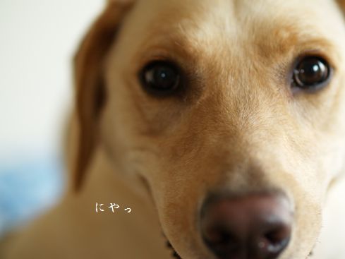 母ちゃんちの晩御飯とどたばた日記-笑顔