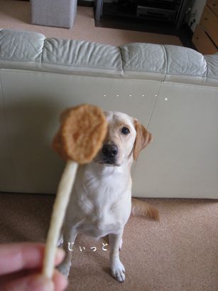 おいしいもの