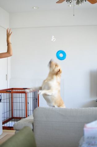 井上かなえオフィシャルブログ　「母ちゃんちの晩御飯とどたばた日記」Powered by Ameba