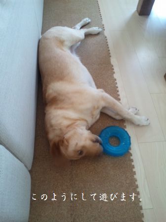 井上かなえオフィシャルブログ　「母ちゃんちの晩御飯とどたばた日記」Powered by Ameba