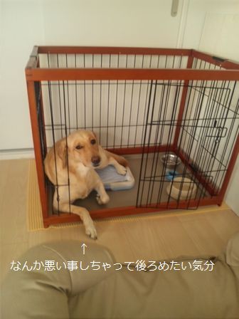 井上かなえオフィシャルブログ　「母ちゃんちの晩御飯とどたばた日記」Powered by Ameba