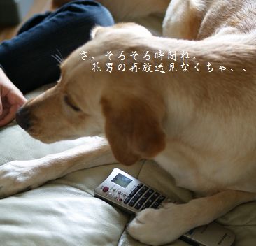 テレビのリモコン死守?