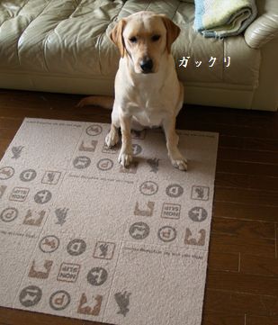 ヒマか
