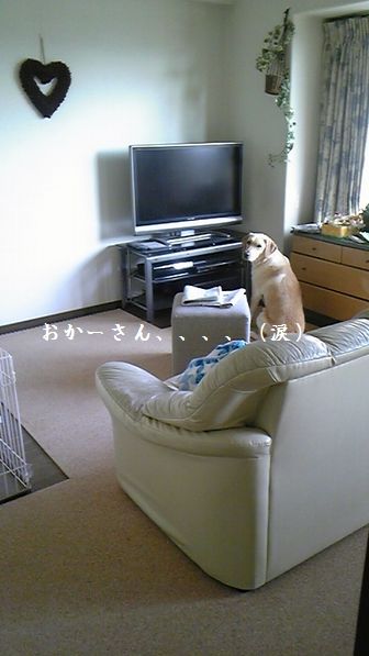 母ちゃんちの晩御飯とどたばた日記-消えました