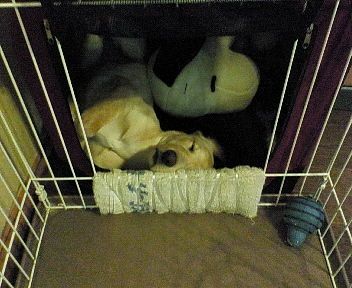 真夜中です