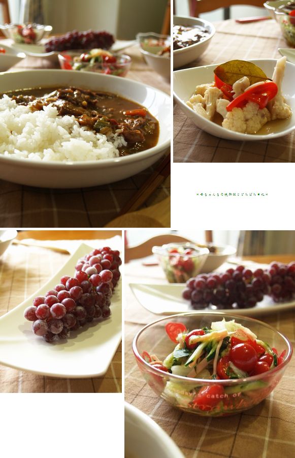 カレーだ(ﾟДﾟ)カレーだ(ﾟДﾟ)