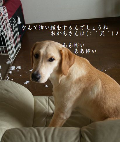 怪しい顔
