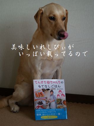 母ちゃんちの晩御飯とどたばた日記