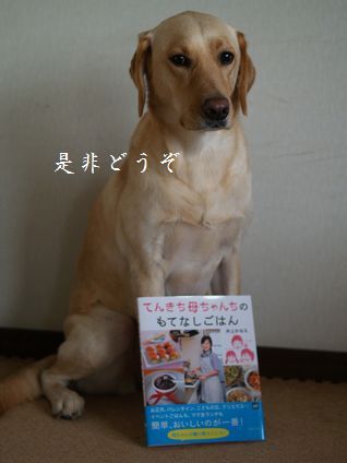 母ちゃんちの晩御飯とどたばた日記