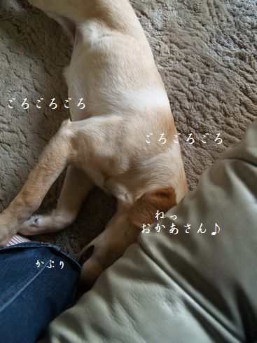 あ~あ