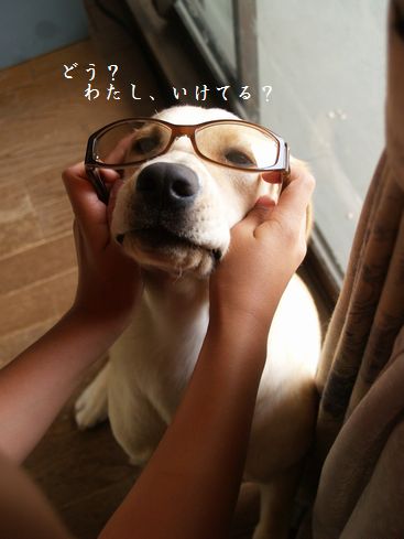 似合いすぎ