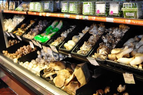 母ちゃんちの晩御飯とどたばた日記