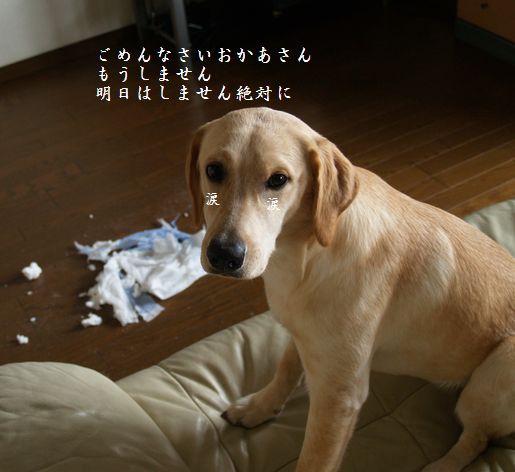 怪しい顔