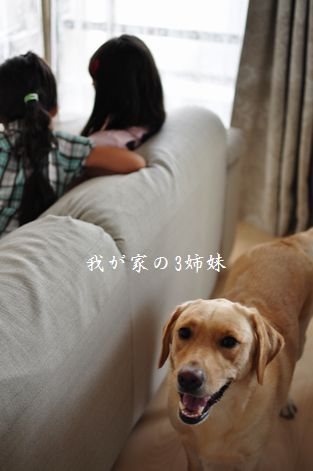 井上かなえオフィシャルブログ　「母ちゃんちの晩御飯とどたばた日記」Powered by Ameba
