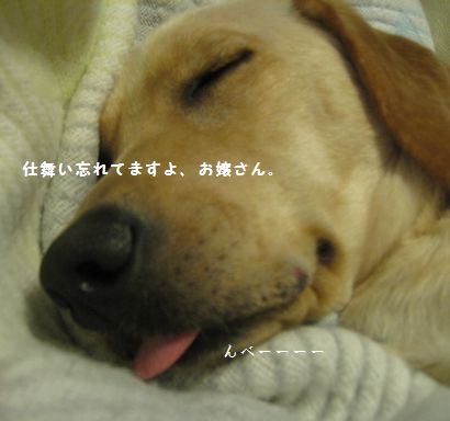 ベロ