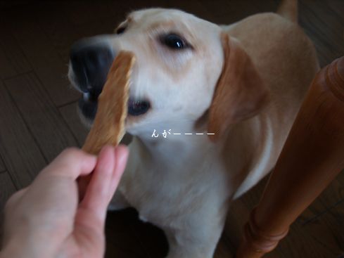 母ちゃんちの晩御飯とどたばた日記-P8205706