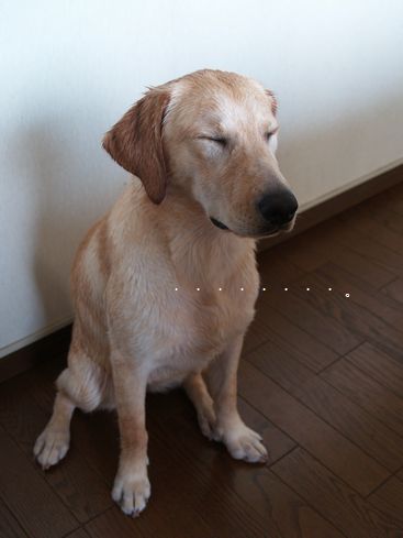 目をつむった写真、意外に多い・・