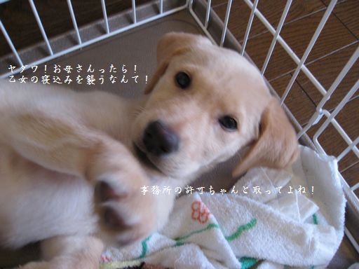 メイ4