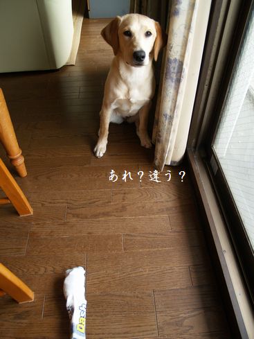 メイと靴下