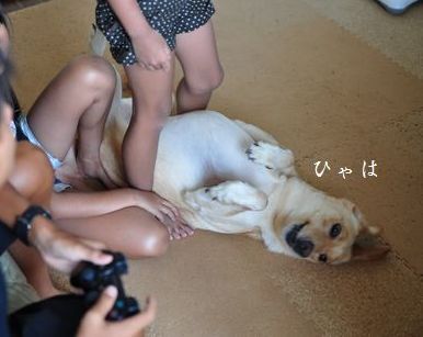 母ちゃんちの晩御飯とどたばた日記