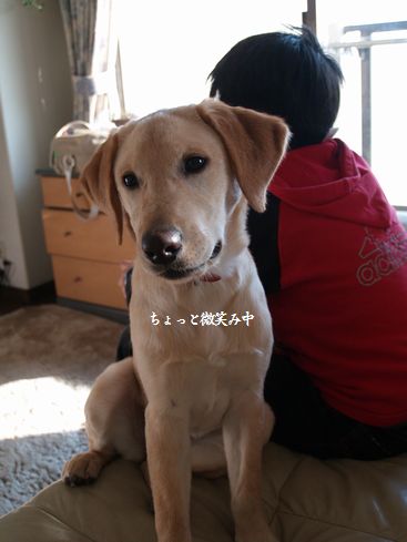 母ちゃんちの晩御飯とどたばた日記-メイさんっΣ(゚口゚;