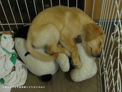 2階かそこは