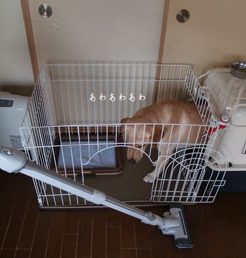 掃除機