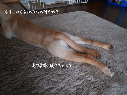 兄さんへメッセージ