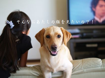 母ちゃんちの晩御飯とどたばた日記