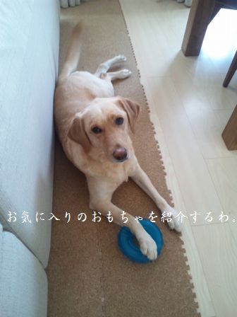 井上かなえオフィシャルブログ　「母ちゃんちの晩御飯とどたばた日記」Powered by Ameba