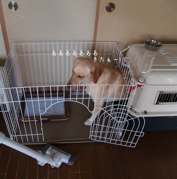 掃除機
