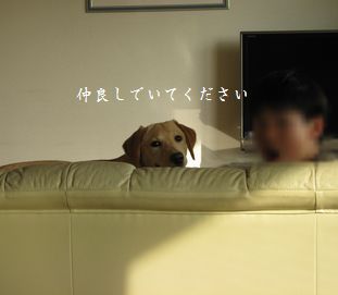 卒業オネデトウ