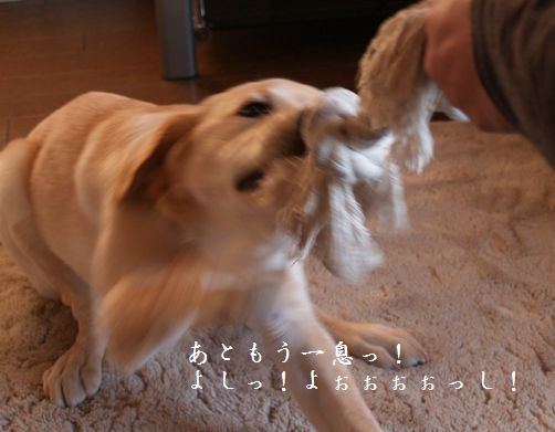 メイとオット