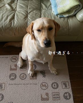 終わったー