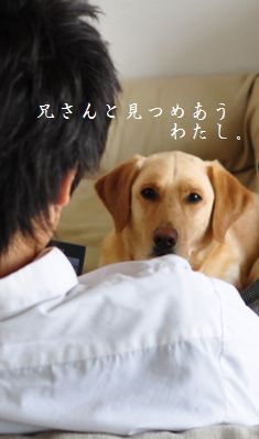 井上かなえオフィシャルブログ　「母ちゃんちの晩御飯とどたばた日記」Powered by Ameba