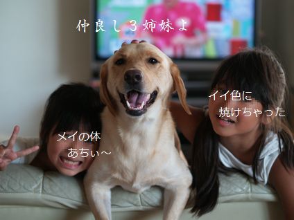 母ちゃんちの晩御飯とどたばた日記