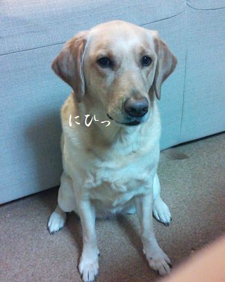 井上かなえオフィシャルブログ　「母ちゃんちの晩御飯とどたばた日記」Powered by Ameba