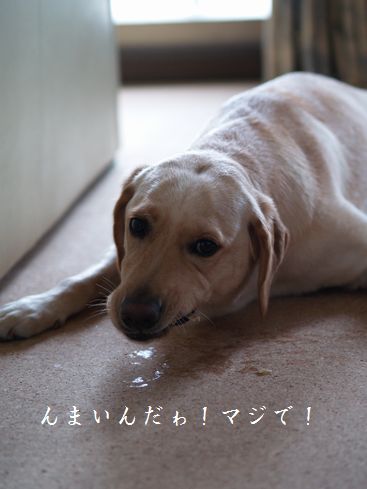 母ちゃんちの晩御飯とどたばた日記-むしゃ5
