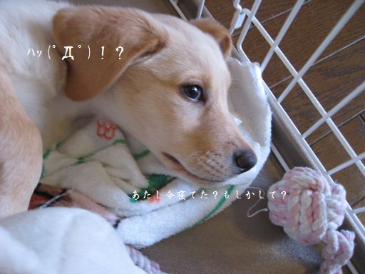 メイ2
