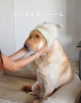 井上かなえオフィシャルブログ　「母ちゃんちの晩御飯とどたばた日記」Powered by Ameba