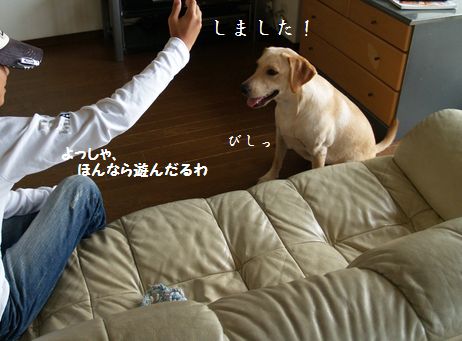tenkichiのブログ-PA126914