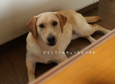 疑問・・