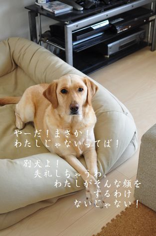 井上かなえオフィシャルブログ　「母ちゃんちの晩御飯とどたばた日記」Powered by Ameba