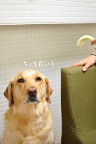 井上かなえオフィシャルブログ 「母ちゃんちの晩御飯とどたばた日記」Powered by Ameba