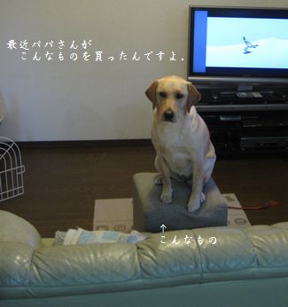 足のせ用です。