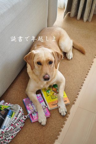 井上かなえオフィシャルブログ　「母ちゃんちの晩御飯とどたばた日記」Powered by Ameba