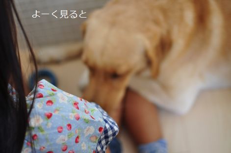 井上かなえオフィシャルブログ　「母ちゃんちの晩御飯とどたばた日記」Powered by Ameba