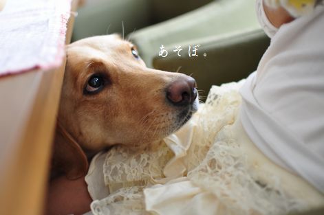 井上かなえオフィシャルブログ　「母ちゃんちの晩御飯とどたばた日記」Powered by Ameba