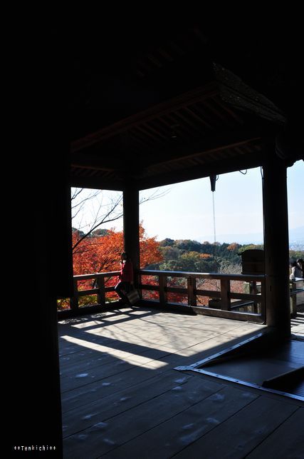 母ちゃんちの晩御飯とどたばた日記