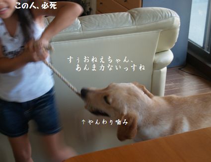 母ちゃんちの晩御飯とどたばた日記-P7254783
